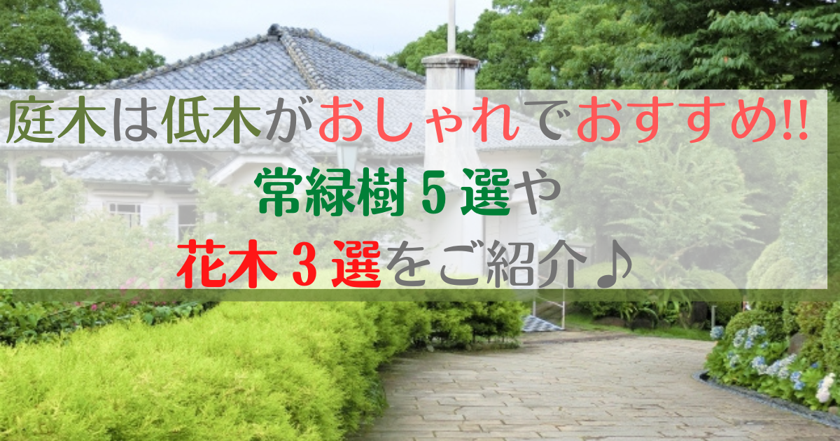 庭木は低木がおしゃれでおすすめ 常緑樹5選や花木3選をご紹介