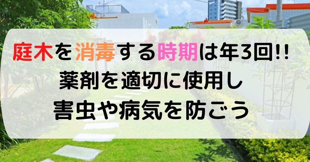 庭木を消毒する時期は年3回 薬剤を適切に使用し害虫や病気を防ごう